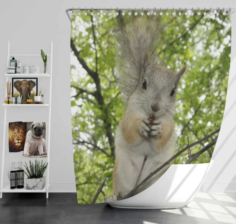 Playful Acrobatics Squirrel Nature Dance Shower Curtain