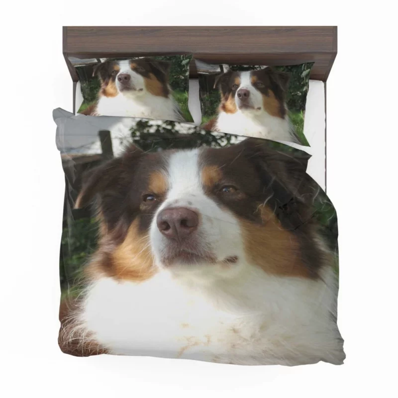 Playful Australian Shepherd Furry Charm Bedding Set 1