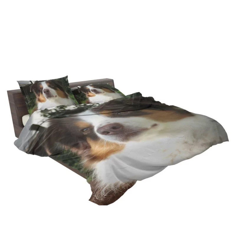 Playful Australian Shepherd Furry Charm Bedding Set 2