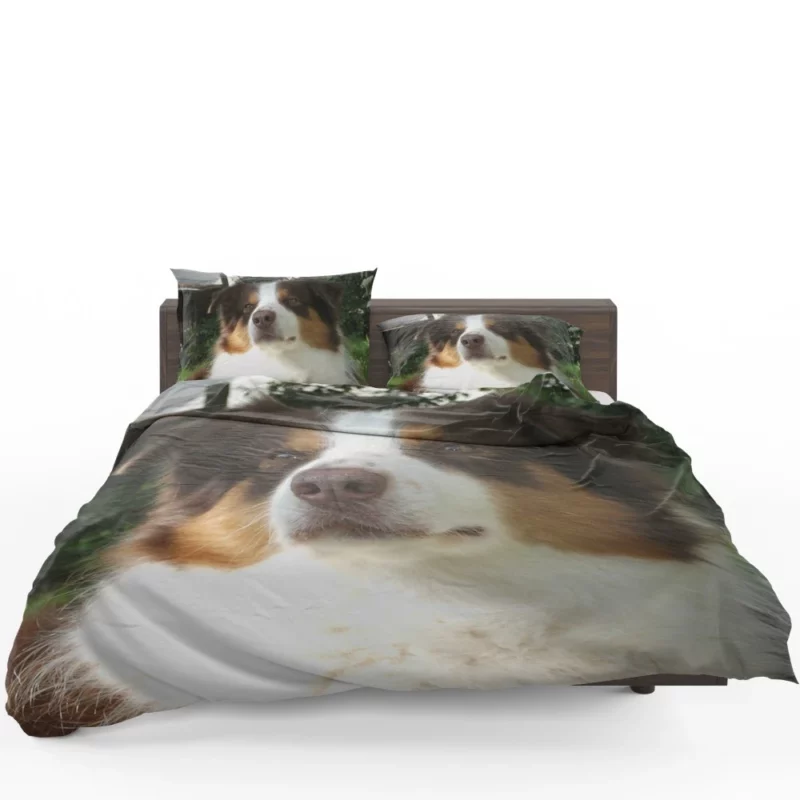 Playful Australian Shepherd Furry Charm Bedding Set