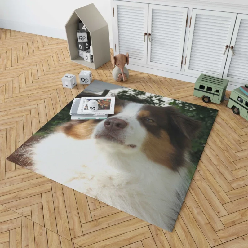 Playful Australian Shepherd Furry Charm Rug 1