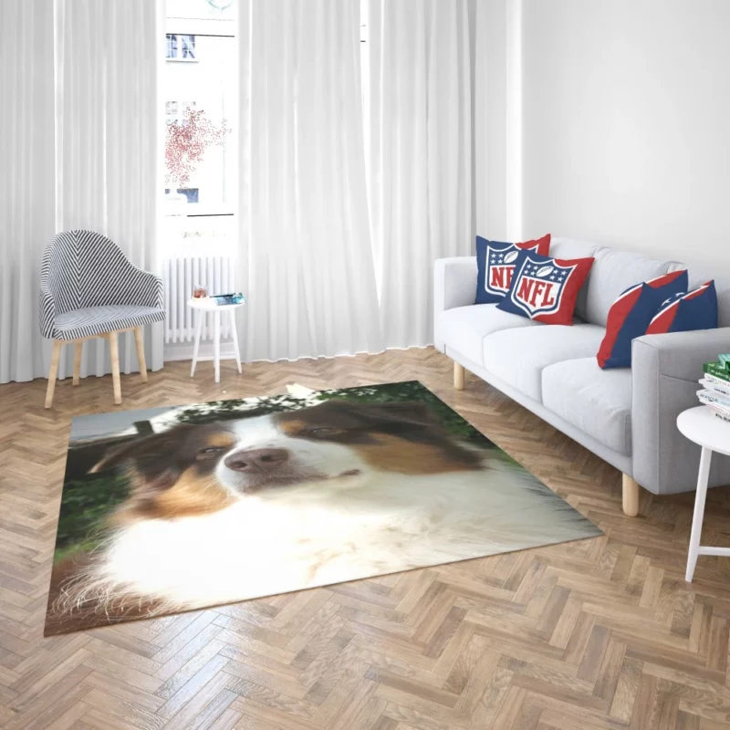 Playful Australian Shepherd Furry Charm Rug 2