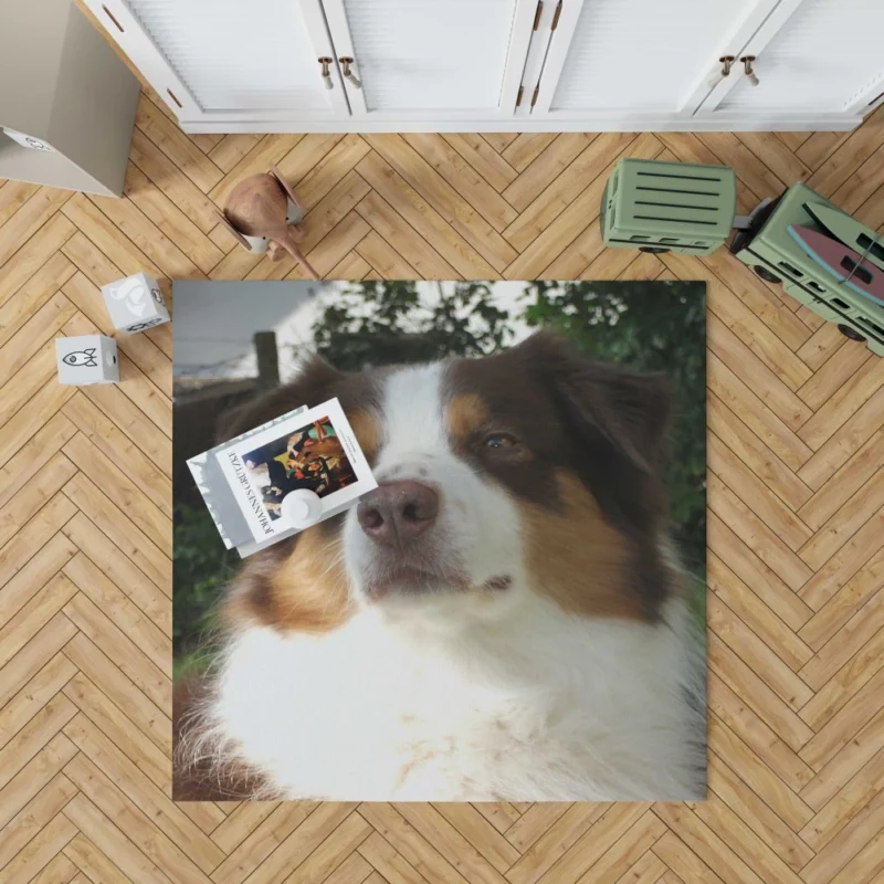 Playful Australian Shepherd Furry Charm Rug