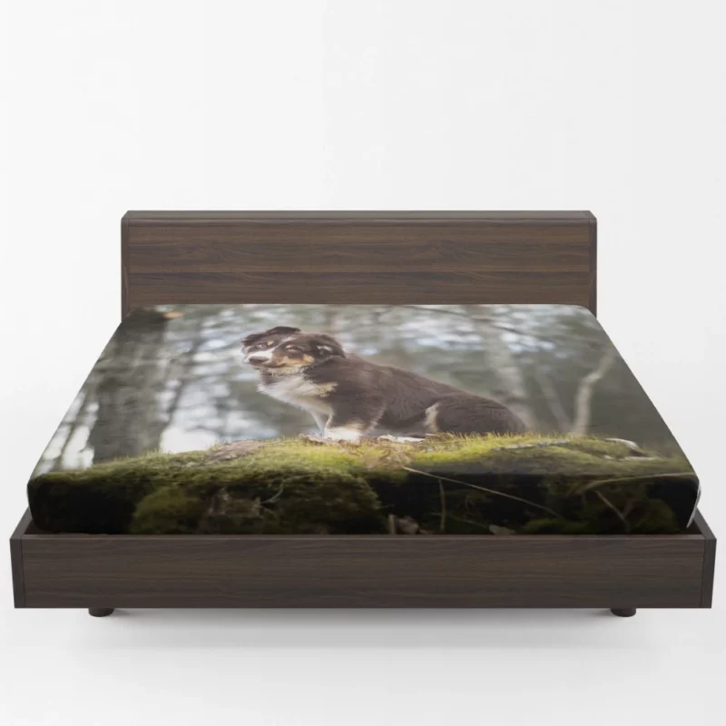 Playful Australian Shepherd Puppy Fitted Sheet