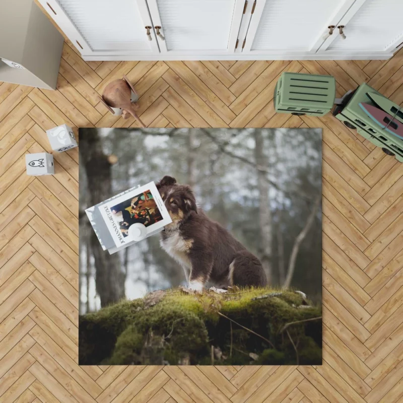 Playful Australian Shepherd Puppy Rug