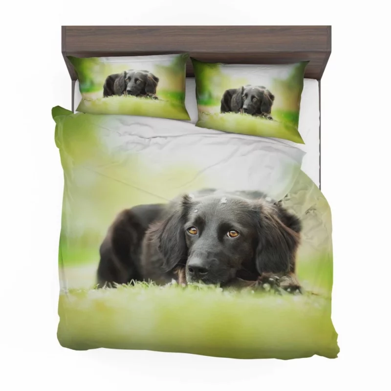 Playful Black Dog Furry Charm Bedding Set 1