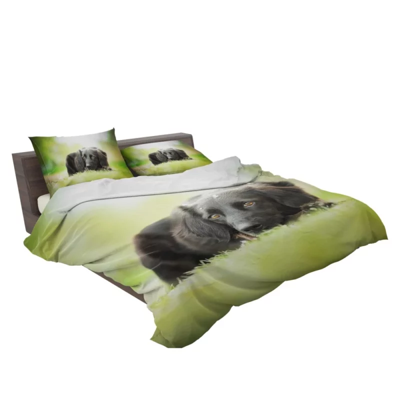 Playful Black Dog Furry Charm Bedding Set 2