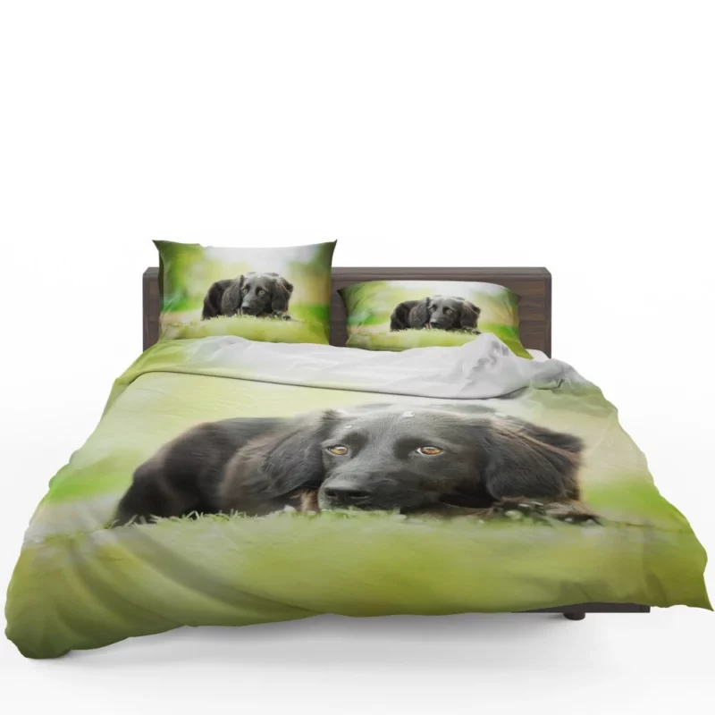 Playful Black Dog Furry Charm Bedding Set