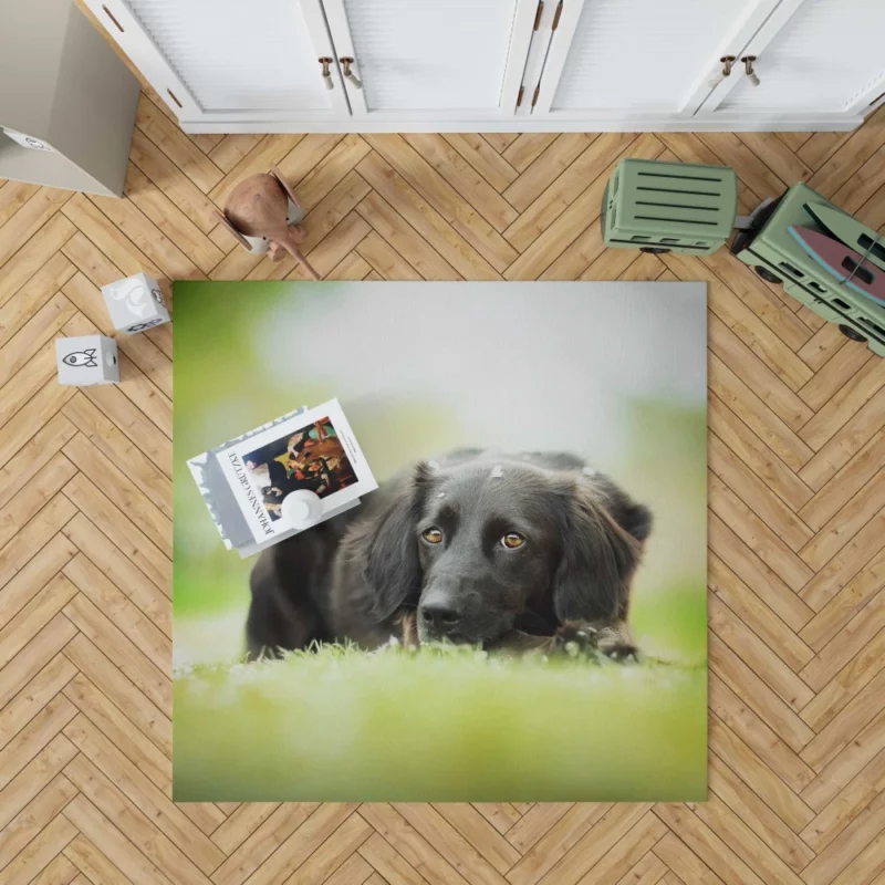 Playful Black Dog Furry Charm Rug