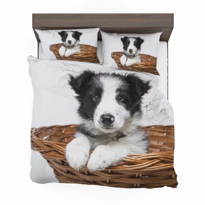 Playful Border Collie Puppy Innocence Bedding Set 1