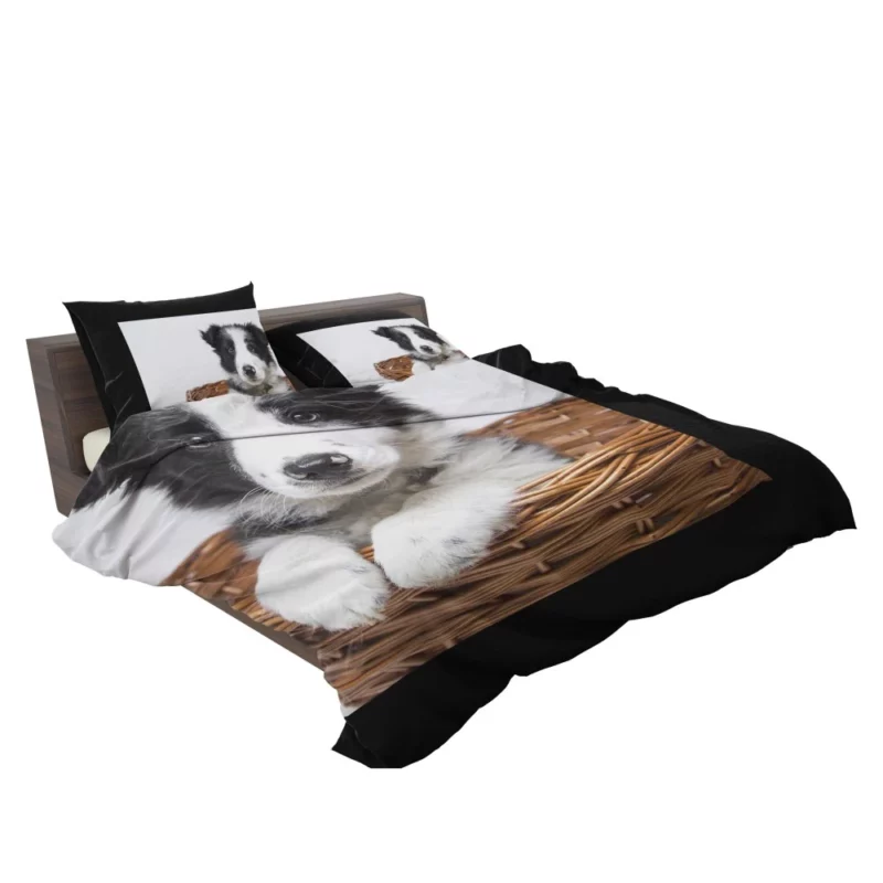 Playful Border Collie Puppy Innocence Bedding Set 2