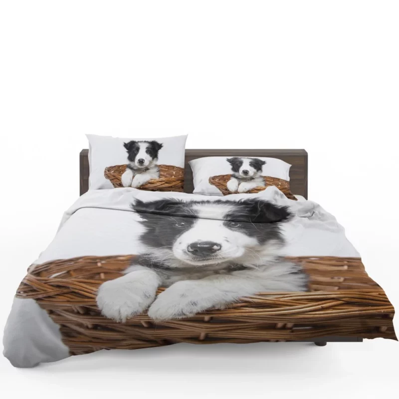 Playful Border Collie Puppy Innocence Bedding Set