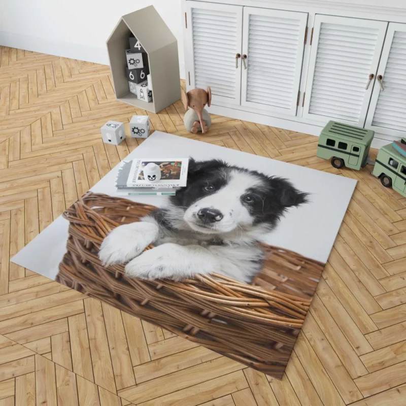 Playful Border Collie Puppy Innocence Rug 1