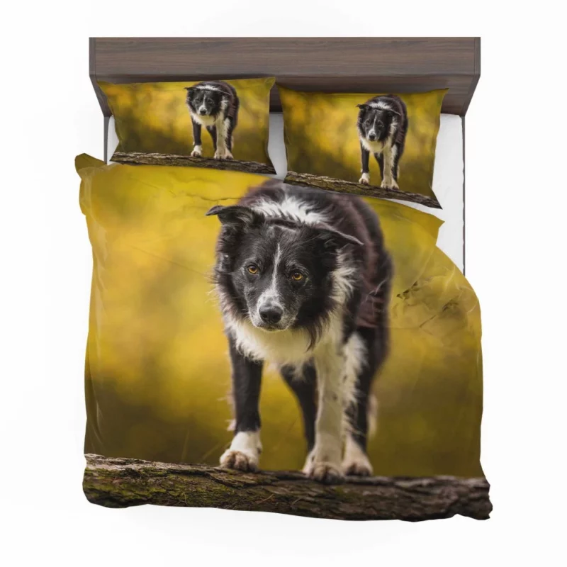 Playful Border Collie in Autumn Beauty Bedding Set 1