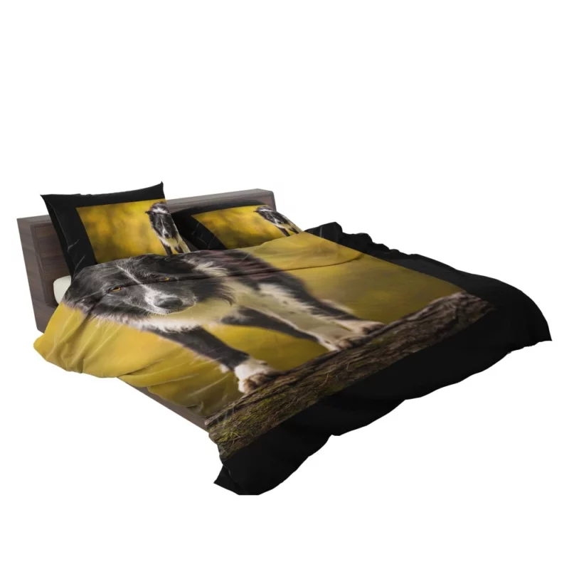 Playful Border Collie in Autumn Beauty Bedding Set 2