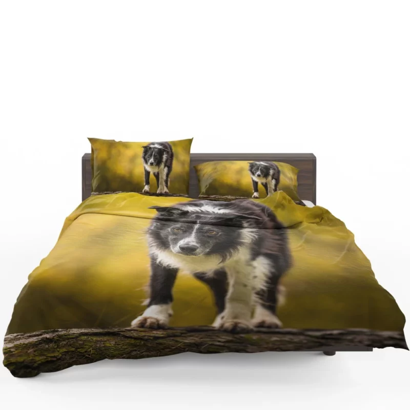 Playful Border Collie in Autumn Beauty Bedding Set