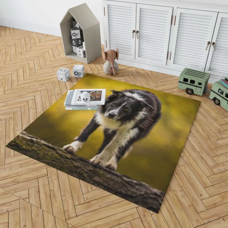 Playful Border Collie in Autumn Beauty Rug 1