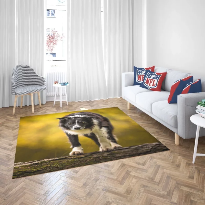 Playful Border Collie in Autumn Beauty Rug 2