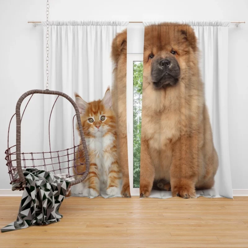 Playful Cat & Chow Chow Furry Bonding Curtain