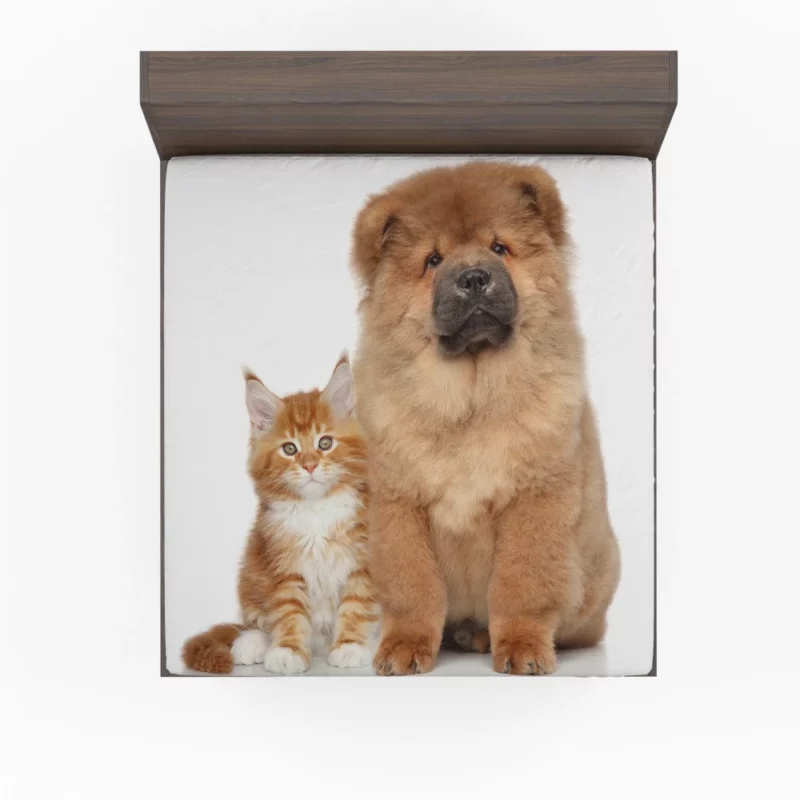 Playful Cat & Chow Chow Furry Bonding Fitted Sheet 1