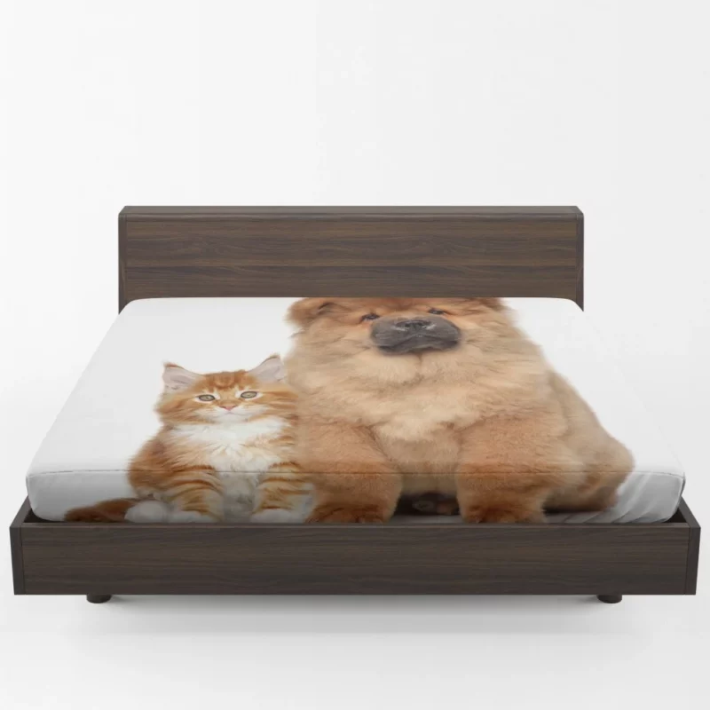 Playful Cat & Chow Chow Furry Bonding Fitted Sheet