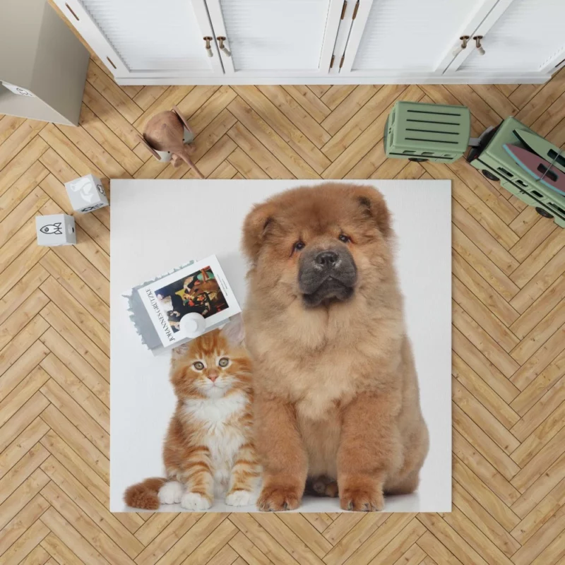 Playful Cat & Chow Chow Furry Bonding Rug