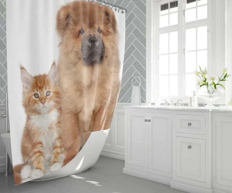 Playful Cat & Chow Chow Furry Bonding Shower Curtain 1