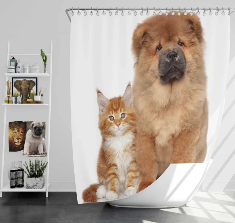 Playful Cat & Chow Chow Furry Bonding Shower Curtain