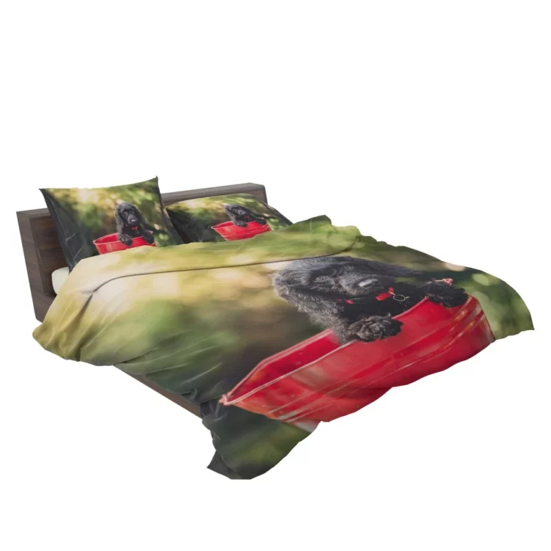 Playful Cocker Spaniel Puppy Furry Joy Bedding Set 2