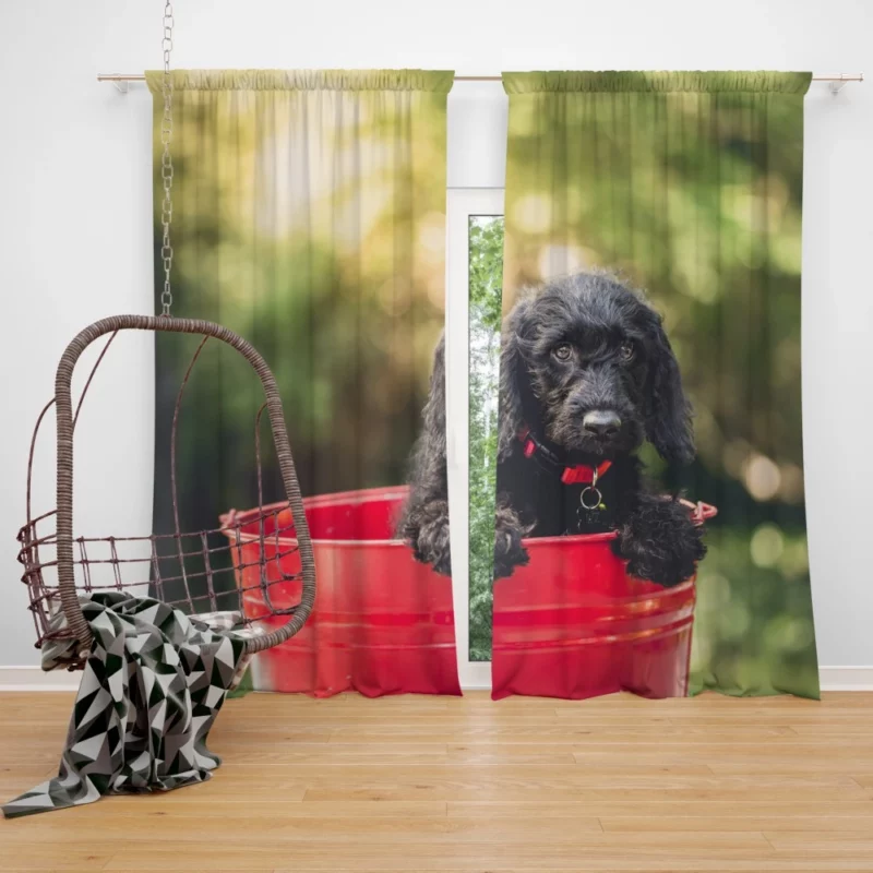 Playful Cocker Spaniel Puppy Furry Joy Curtain