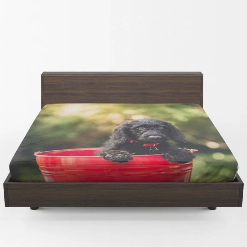 Playful Cocker Spaniel Puppy Furry Joy Fitted Sheet