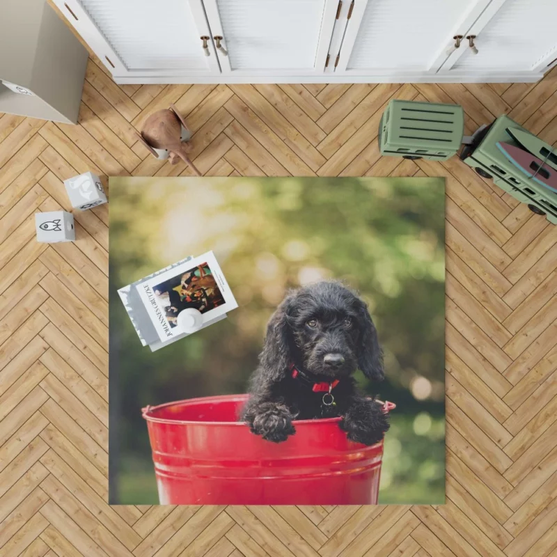 Playful Cocker Spaniel Puppy Furry Joy Rug