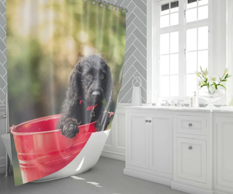 Playful Cocker Spaniel Puppy Furry Joy Shower Curtain 1