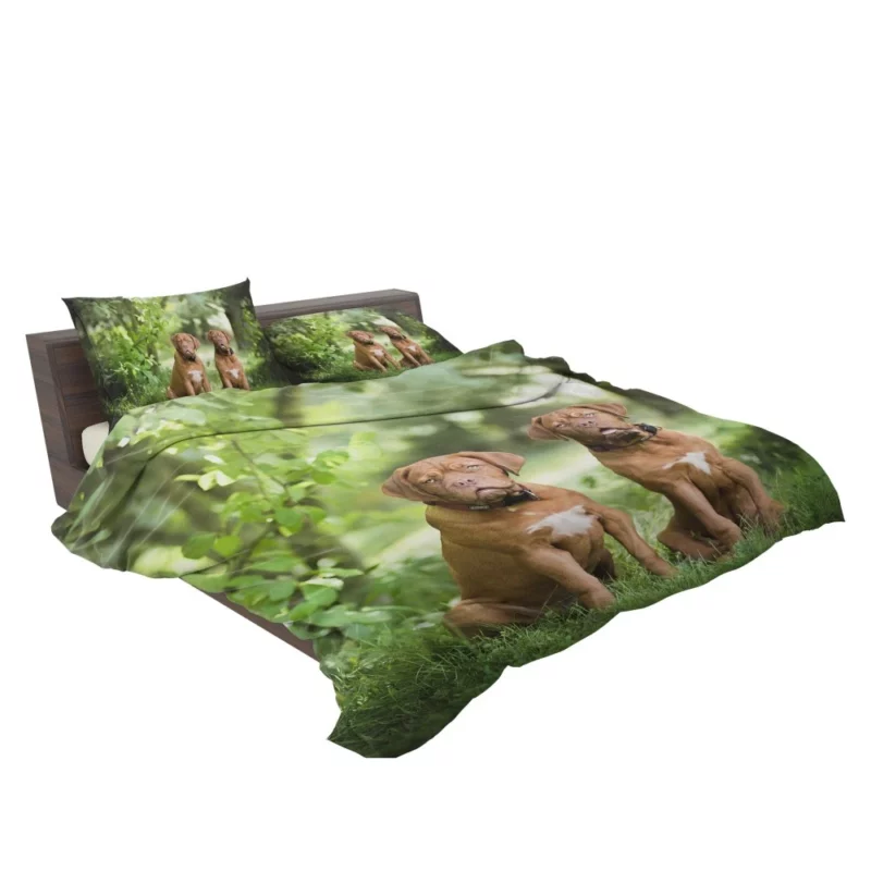 Playful Dogue de Bordeaux Muzzle Joy Bedding Set 2