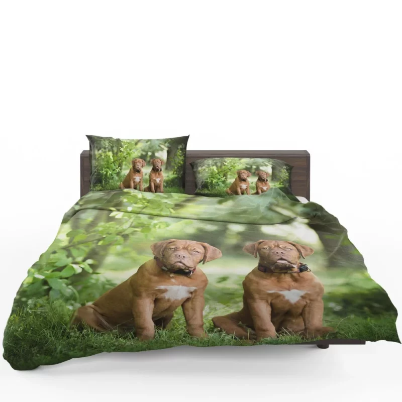 Playful Dogue de Bordeaux Muzzle Joy Bedding Set