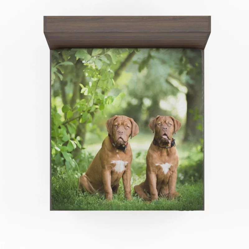 Playful Dogue de Bordeaux Muzzle Joy Fitted Sheet 1