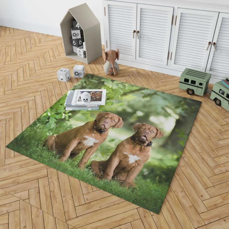 Playful Dogue de Bordeaux Muzzle Joy Rug 1