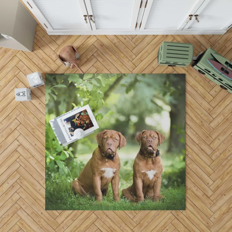 Playful Dogue de Bordeaux Muzzle Joy Rug