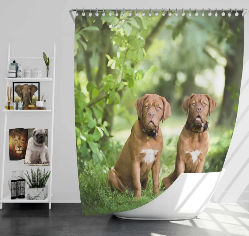 Playful Dogue de Bordeaux Muzzle Joy Shower Curtain