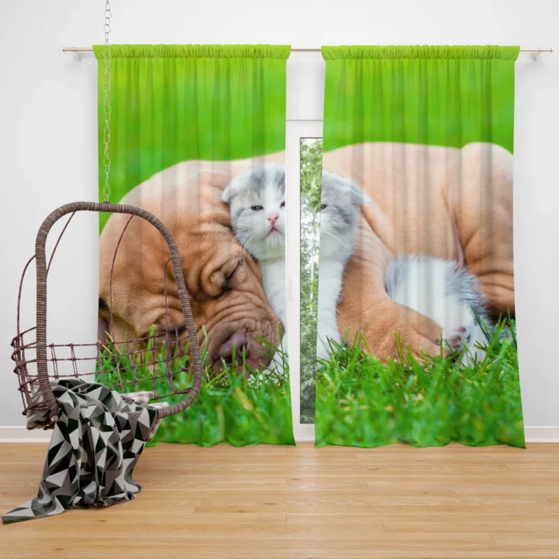 Playful Duo Furry Friends Forever Curtain