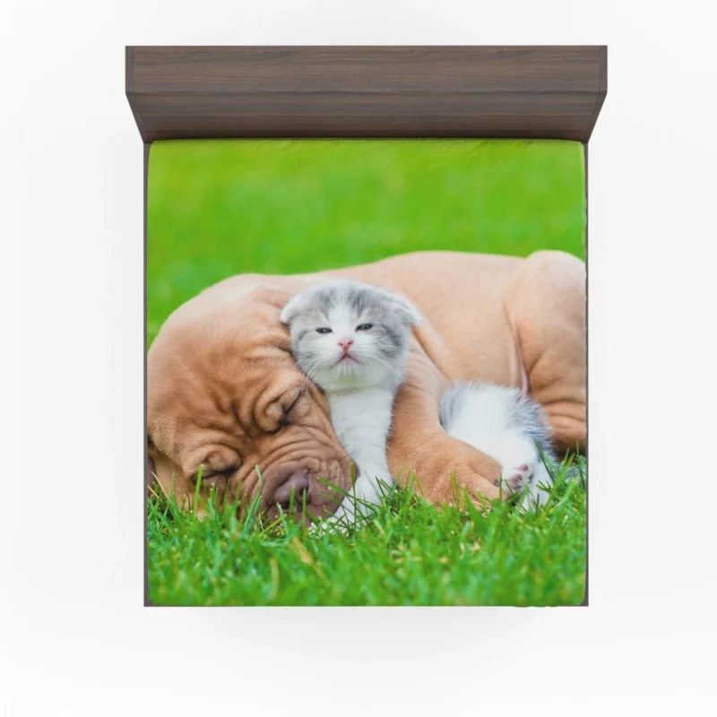 Playful Duo Furry Friends Forever Fitted Sheet 1