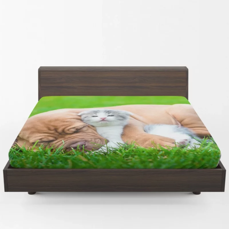 Playful Duo Furry Friends Forever Fitted Sheet