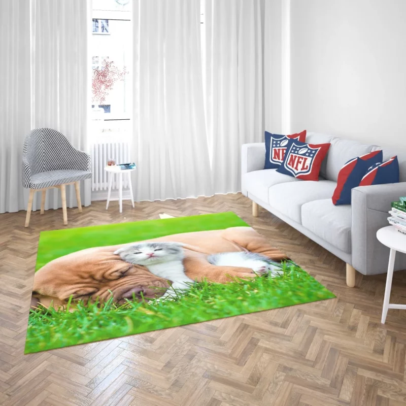 Playful Duo Furry Friends Forever Rug 2