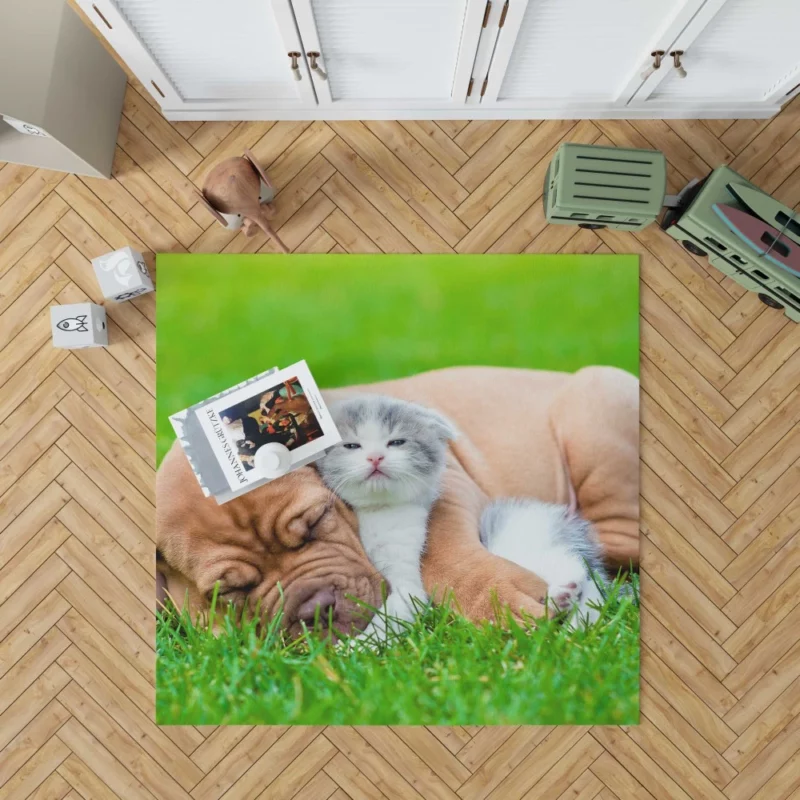 Playful Duo Furry Friends Forever Rug