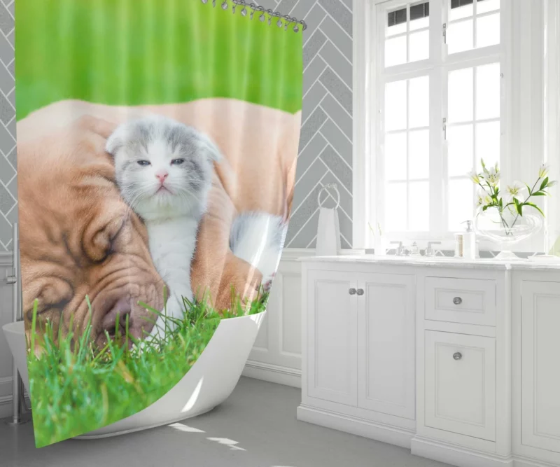 Playful Duo Furry Friends Forever Shower Curtain 1