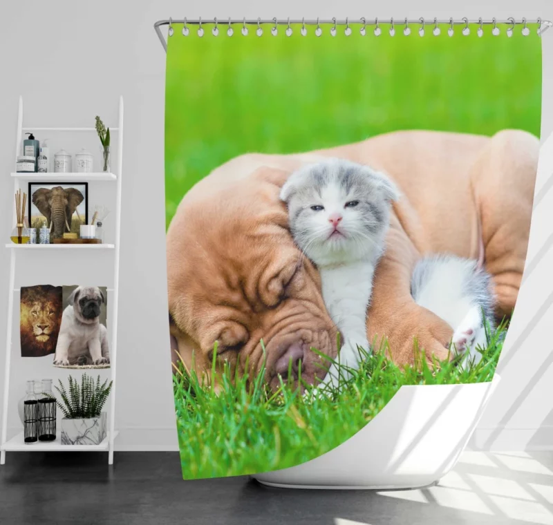 Playful Duo Furry Friends Forever Shower Curtain