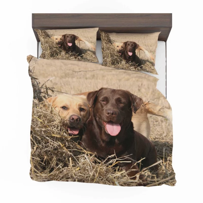 Playful Duo Labrador and Terrier Bedding Set 1