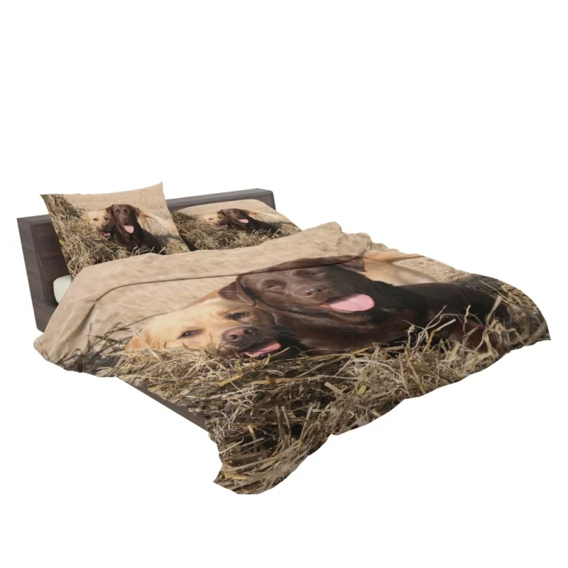 Playful Duo Labrador and Terrier Bedding Set 2