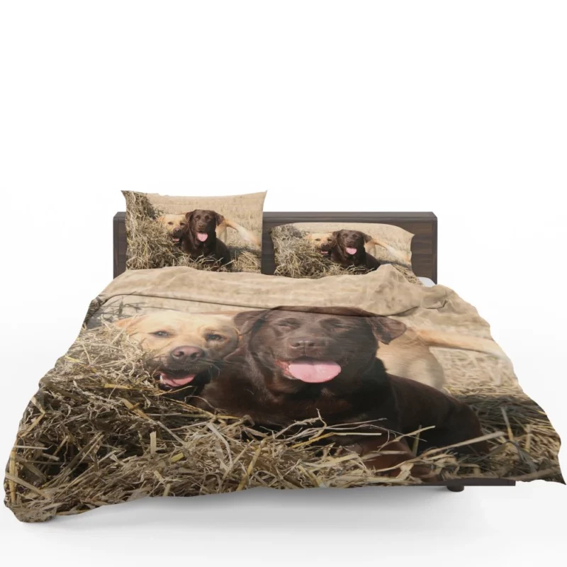 Playful Duo Labrador and Terrier Bedding Set