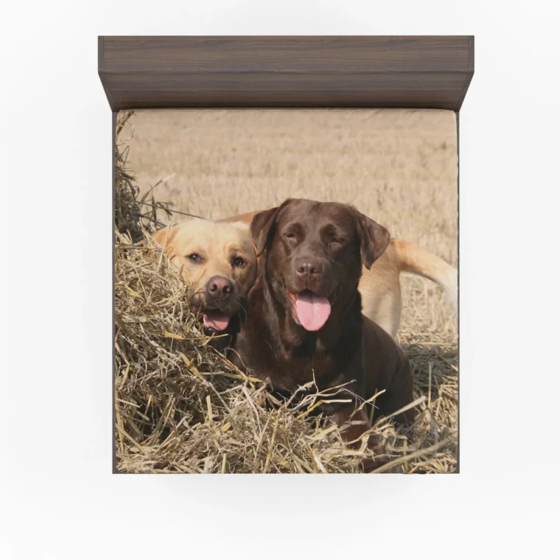 Playful Duo Labrador and Terrier Fitted Sheet 1